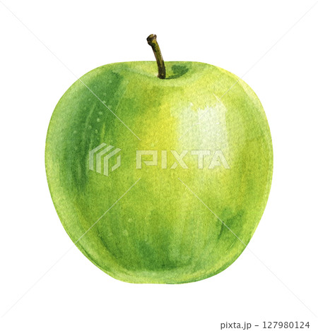 Green apple watercolor illustration fruit clipart kitchen wall art autumn harvest invitations food design healthy eating prints Green apple watercolor illustration fruit clipart kitchen wall art autumn harvest invitations food design healthy eating prints 127980124