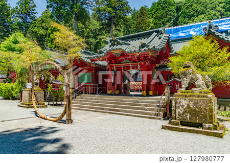 緑に包まれた箱根神社 127980777