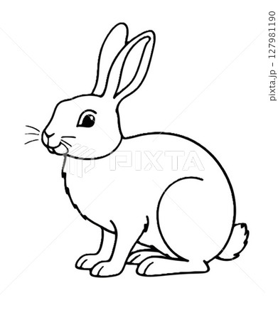 かわいいうさぎの画像 127981190
