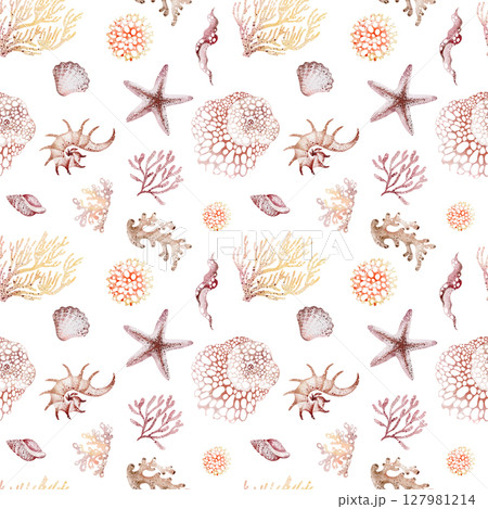 Seamless watercolor pattern featuring seashells and corals on a white background. Ideal for coastal, marine, and beach related designs. Perfect for textiles, wallpapers, and home decor. Seamless watercolor pattern featuring seashells and corals on a white background. Ideal for coastal, marine, and beach related designs. Perfect for textiles, wallpapers, and home decor. 127981214
