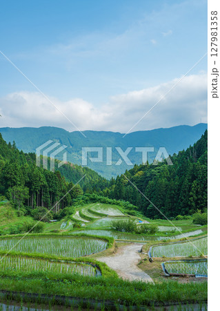 【徳島】樫原の棚田【上勝町】 127981358