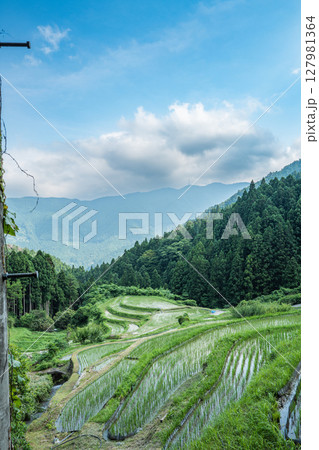 【徳島】樫原の棚田【上勝町】 127981364