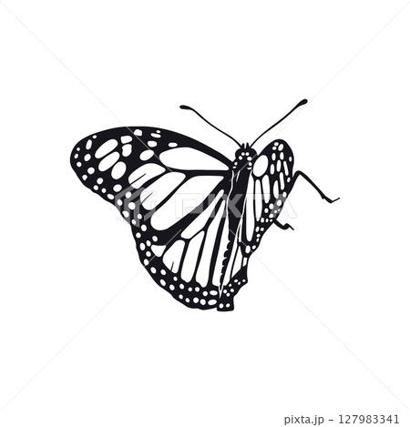 Hand drawn black and white monarch butterfly clip art 127983341