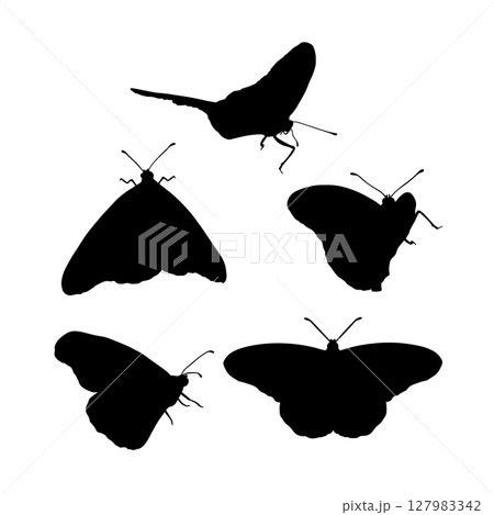 Hand drawn black silhouette monarch butterflies clip art set. Beautiful monochrome tropical insects designs 127983342