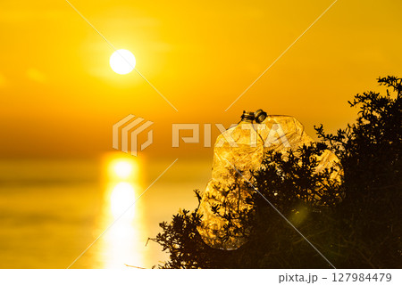 Plastic water bottle abandoned on seashore at sunrise 127984479