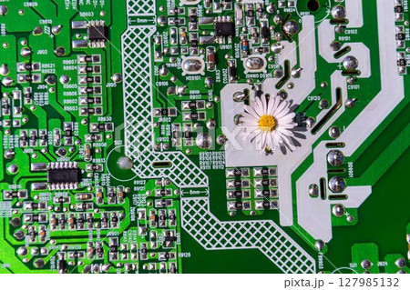 A daisy growing through a computer motherboard, energy consumption by artificial intelligence concept, environmental impacts 127985132