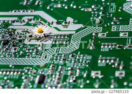 A daisy growing through a computer motherboard, energy consumption by artificial intelligence concept, environmental impacts 127985133
