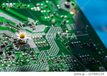 A daisy growing through a computer motherboard, energy consumption by artificial intelligence concept, environmental impacts A daisy growing through a computer motherboard, energy consumption by artificial intelligence concept, environmental impacts 127985134