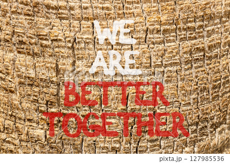 We are better together symbol. Concept words phrase We are better together on beautiful palm tree bark. Beautiful palm tree bark background. Business We are better together concept. Copy space. We are better together symbol. Concept words phrase We are better together on beautiful palm tree bark. Beautiful palm tree bark background. Business We are better together concept. Copy space. 127985536