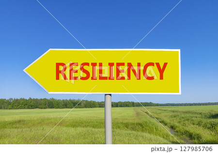 Resiliency symbol. Concept word Resiliency on beautiful yellow road sign. Beautiful blue sky green grass and forest peaceful nature background. Business resiliency concept. Copy space. 127985706