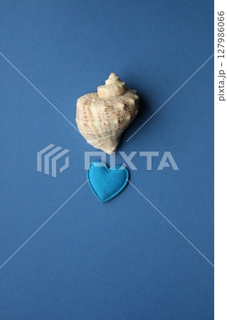 Sea shell on a blue background. Sea shell on a blue background. 127986066