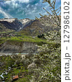 Blooming cherry trees against the mountains on the Georgian Military road. High quality photo 127986102