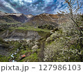 Blooming cherry trees against the mountains on the Georgian Military road. High quality photo 127986103