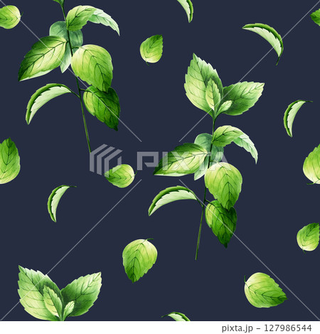 Seamless pattern sprigs of fresh mint. Watercolor hand drawn herb, nettle branch isolated on transparent background illustration. For designers, menu, decoration, food blog, ecofriendly branding 127986544