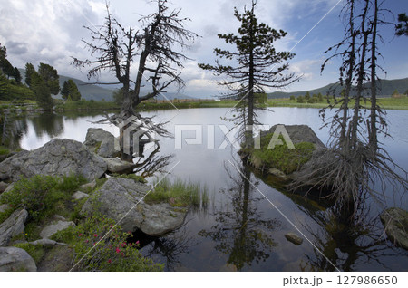Windeben Lake at Nockalm Street, National Park Nockberge, Carinthia, Austria Windeben Lake at Nockalm Street, National Park Nockberge, Carinthia, Austria 127986650