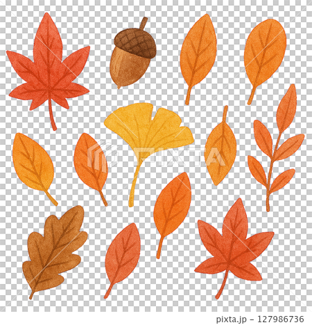 一組秋天的落葉和橡實剪紙 127986736
