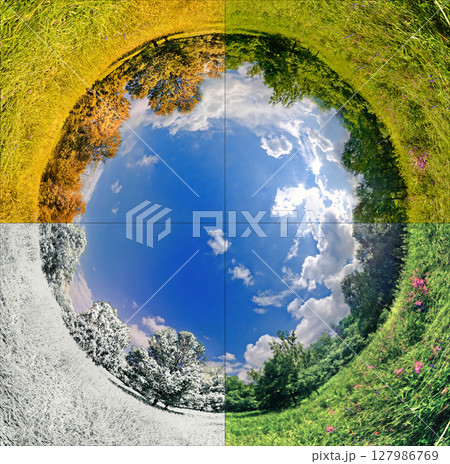 Four seasons of year. Set of vertical nature banners with winter, spring, summer and autumn scenes. Four seasons of year. Set of vertical nature banners with winter, spring, summer and autumn scenes. 127986769