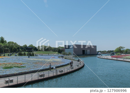 運河がある公園 公園に咲く花々 青空の広がる浜名湖ガーデンパーク ガーデニング 春の花 咲き乱れる 運河がある公園 公園に咲く花々 青空の広がる浜名湖ガーデンパーク ガーデニング 春の花 咲き乱れる 127986996