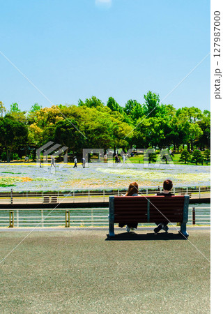 公園のベンチ　公園に咲く花々　青空の広がる浜名湖ガーデンパーク　ガーデニング　春の花　咲き乱れる 127987000