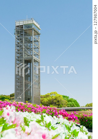 ランドマークタワー　ガーデニング　春の花　咲き乱れる　浜名湖ガーデンパーク 127987004