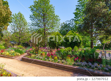 ガーデニング　春の花　咲き乱れる　浜名湖ガーデンパーク　3 127987012