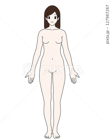 解剖学的正位　女性　正面　カラー　髪あり 127987267