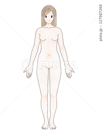 解剖学的正位　女性　正面　水彩風　髪あり 127987268