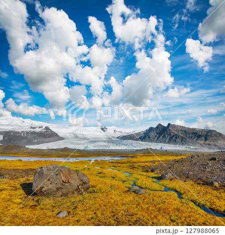 Impressive view of Fjallsarlon Glacier Lagoon and colour moss at foreground. Impressive view of Fjallsarlon Glacier Lagoon and colour moss at foreground. 127988065