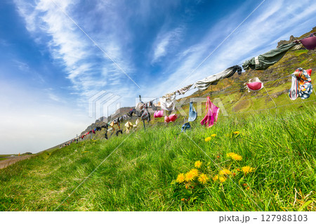 Impressive view of Bra fence on the main road near Skogafoss in  Iceland. 127988103