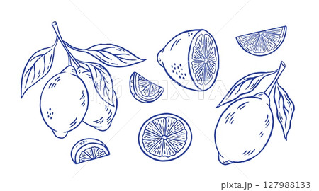 Set of hand draw lemon with leaves vector illustration. Doodle sliced citrus fruit isolated. La dolce vita. Italy summer sketch style Set of hand draw lemon with leaves vector illustration. Doodle sliced citrus fruit isolated. La dolce vita. Italy summer sketch style 127988133