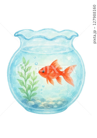 水彩風の金魚鉢切り抜き素材 127988160