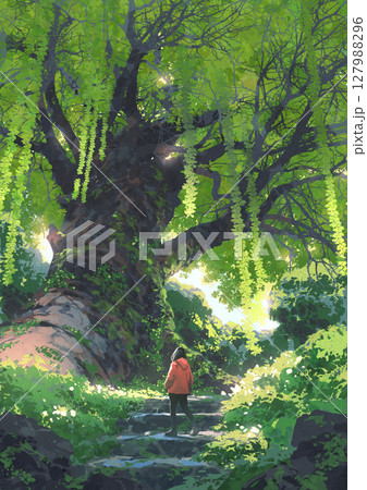 Girl Standing Before a Giant Ancient Tree in Lush Forest 127988296