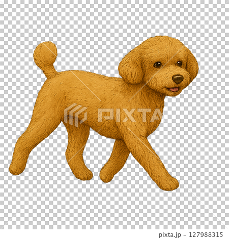 散步玩具貴賓犬的插圖 127988315