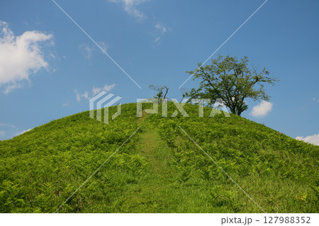 岩屋古墳　千葉県印旛郡栄町 127988352