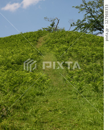 岩屋古墳　千葉県印旛郡栄町 127988353