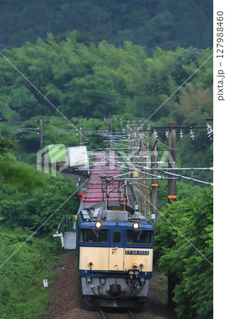 新緑が美しい梅雨の木曽路を駆け抜けるEF64-1033号機牽引の貨物列車_2025/7/1撮影 127988460