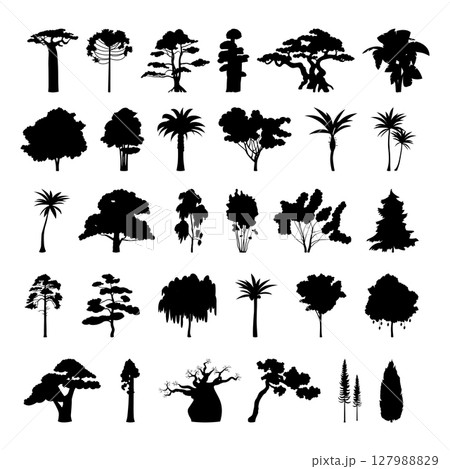 Seth black silhouettes of trees from different climatic zones on a white background - Vector 127988829