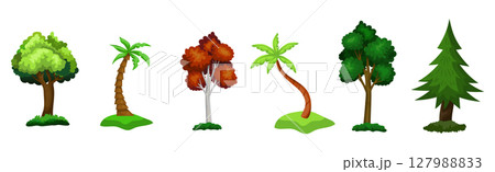 Set of 6 different trees on a white background - Vector 127988833