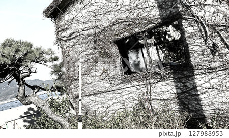 海辺で廃墟になった小屋 127988953