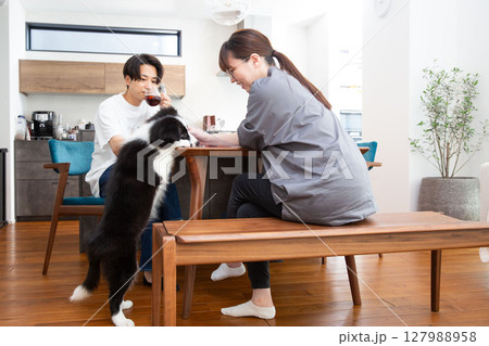 犬と暮らす日本人の若い家族 127988958