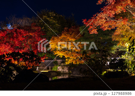 秋の兵庫県姫路市　好古園　紅葉ライトアップ 127988986
