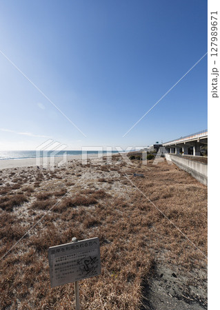 湖西市の白須賀海岸 湖西市の白須賀海岸 127989671