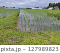 田んぼのある風景 127989823