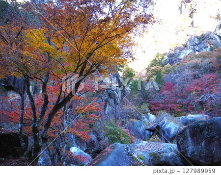 山梨県の紅葉の名所「昇仙峡」 127989959