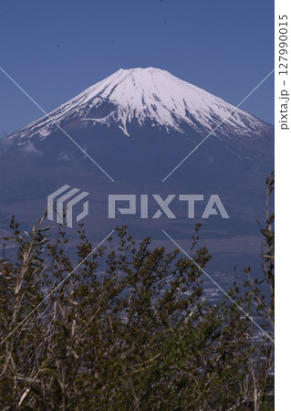 長尾峠から見た富士山 127990015