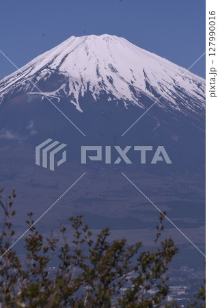 長尾峠から見た富士山 127990016