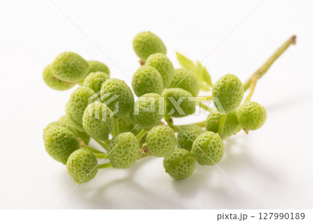 山椒の実 127990189