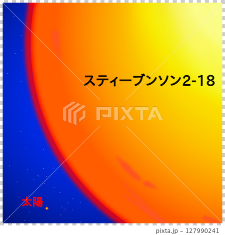 スティーブンソン2-18 127990241