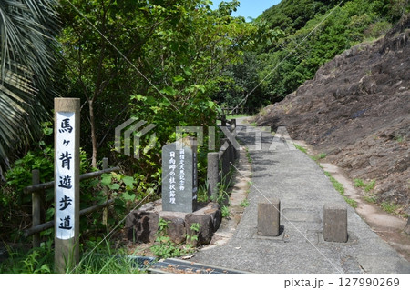 日向岬　馬ヶ背の風景 127990269