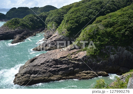 日向岬　馬ヶ背の風景 127990276